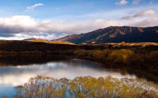 朋友在一线做内容，透露蜜桃在线评论区最常见的“神回复”，其实有固定模板（别说我没提醒）