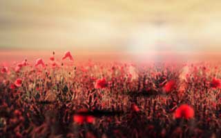 我真没想到：17c影院 ｜ 随手一搜——其实答案很简单但没人说！你们感受一下